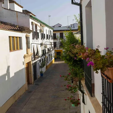 Mira San Basilio Apartment