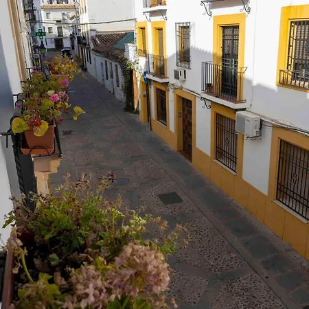 Apartment Mira San Basilio *