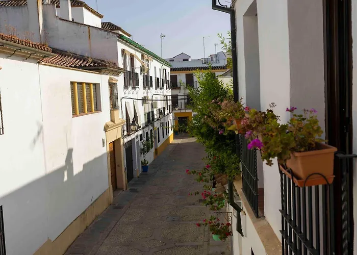 Mira San Basilio Διαμέρισμα